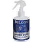 BELGOM - Jantes Moto - 250ml